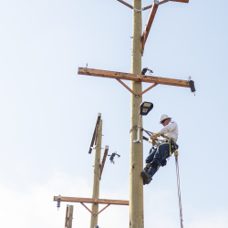 NCAMES Rodeo