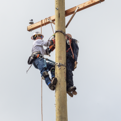 NCAMES Rodeo