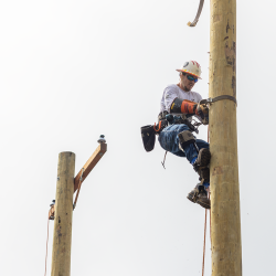 NCAMES Rodeo