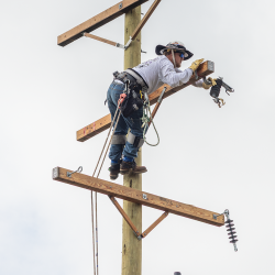 NCAMES Rodeo