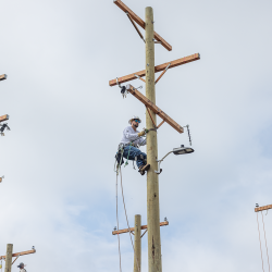 NCAMES Rodeo