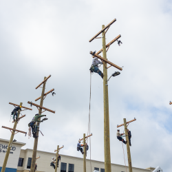 NCAMES Rodeo