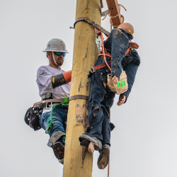 NCAMES Rodeo