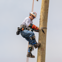 NCAMES Rodeo