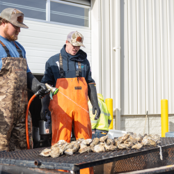 Oyster Roast