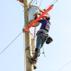 NCAMES Rodeo