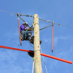 NCAMES Rodeo