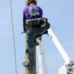 NCAMES Rodeo