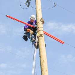 NCAMES Rodeo